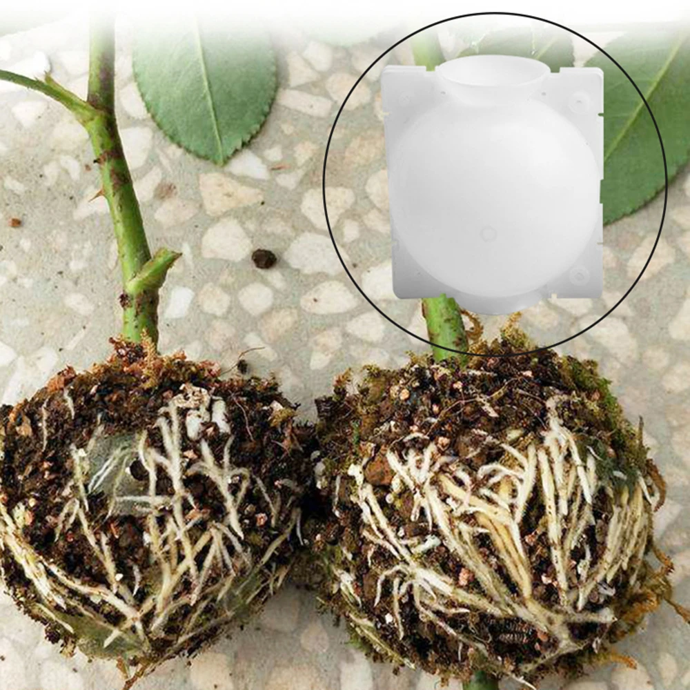Plant Root Growing Box 5pcs(5/8/12cm) Plant Rooting Ball Grafting Rooting Growing Box Breeding Case Plant Root Growing Box For Garden 5/8cm In Diameter