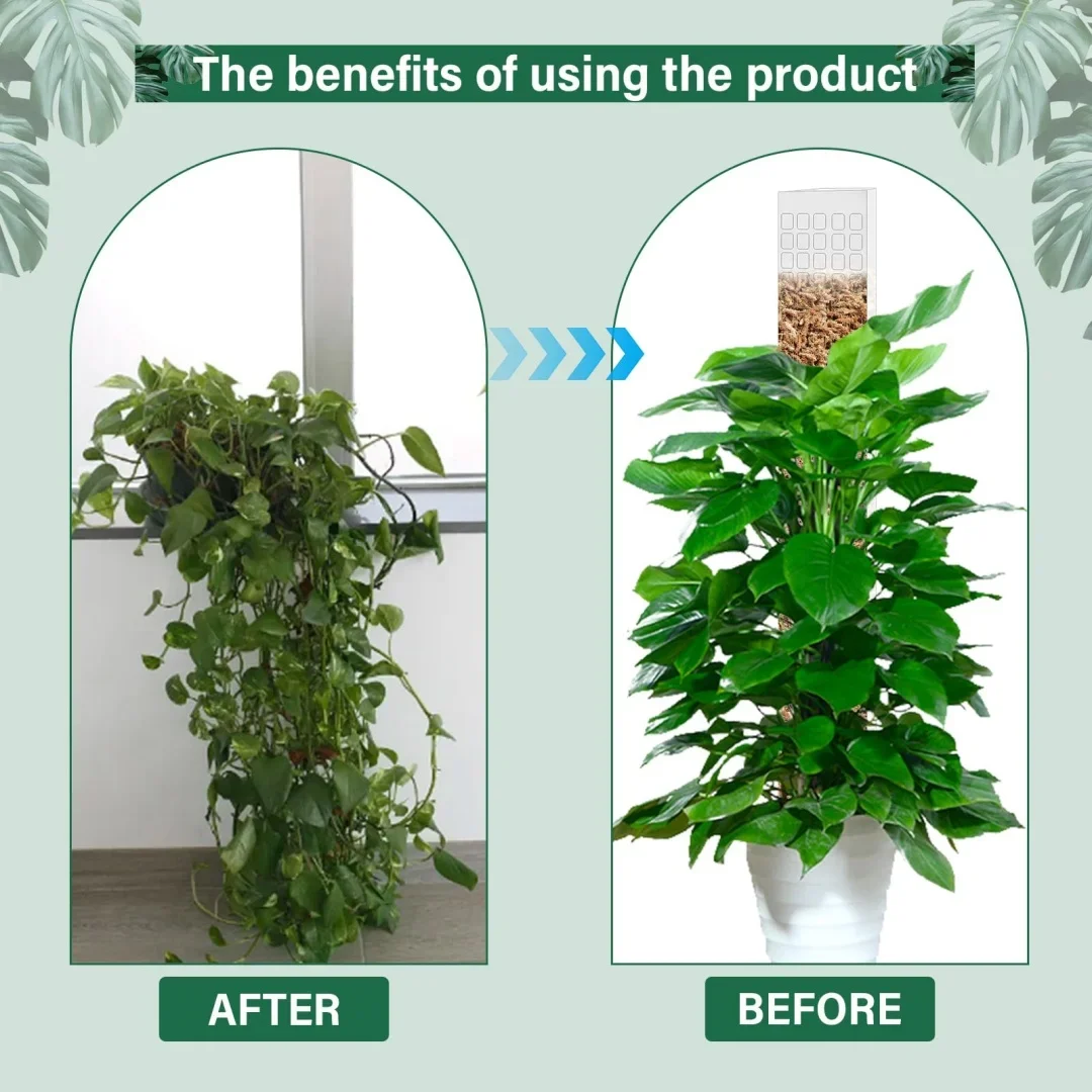 モスポール　水苔入り済 生産プロの秘訣　植物用上り棒　60本まとめ29cmサイズ モスポール（モンスターポール）水苔入れアロイドを登らす棒