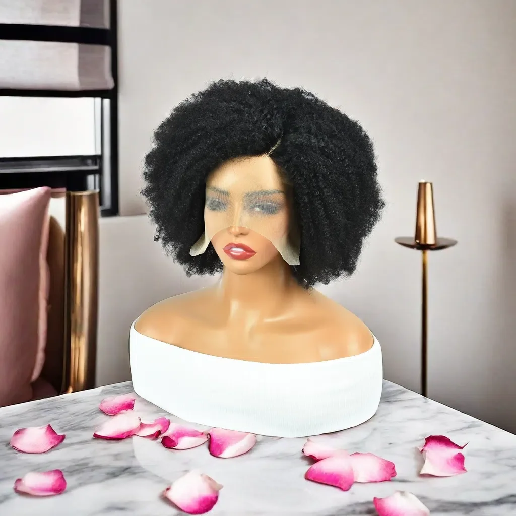 14" 180% Afro Kinky Curly Human Hair Wigs Kinky Curly Lace Closure Wigs Brazilian Remy T Lace Front Wigs Transparent HairUGo_voghion.com