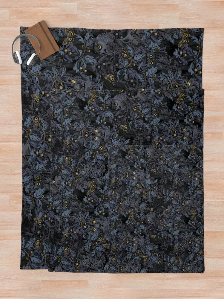 ���� (�޺� �Ķ���) ������ ���, ũ�������� ����, ���� ���