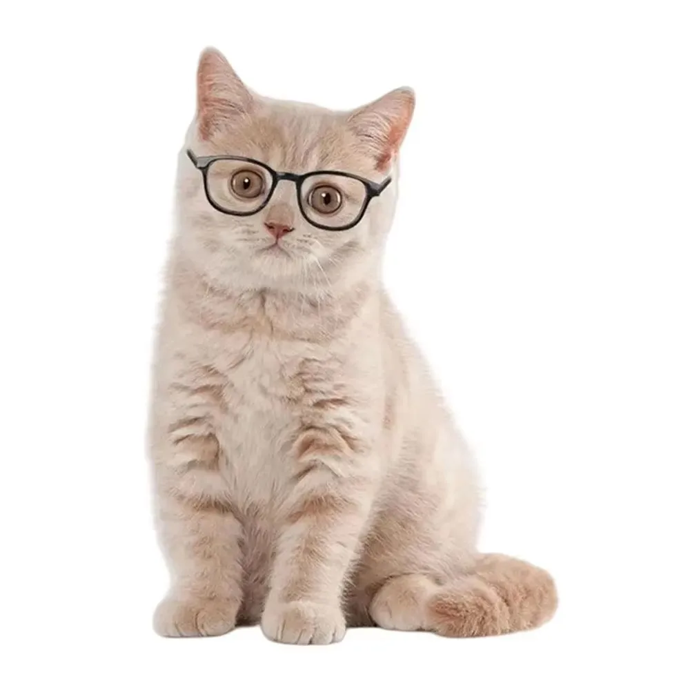 جديد النظارات الشمسية الحيوانات الأليفة القط أزياء الحيوانات الأليفة النظارات الشمسية القط العين ارتداء كلب صغير القط صور الدعائم لطيف بارد اللباس النظارات