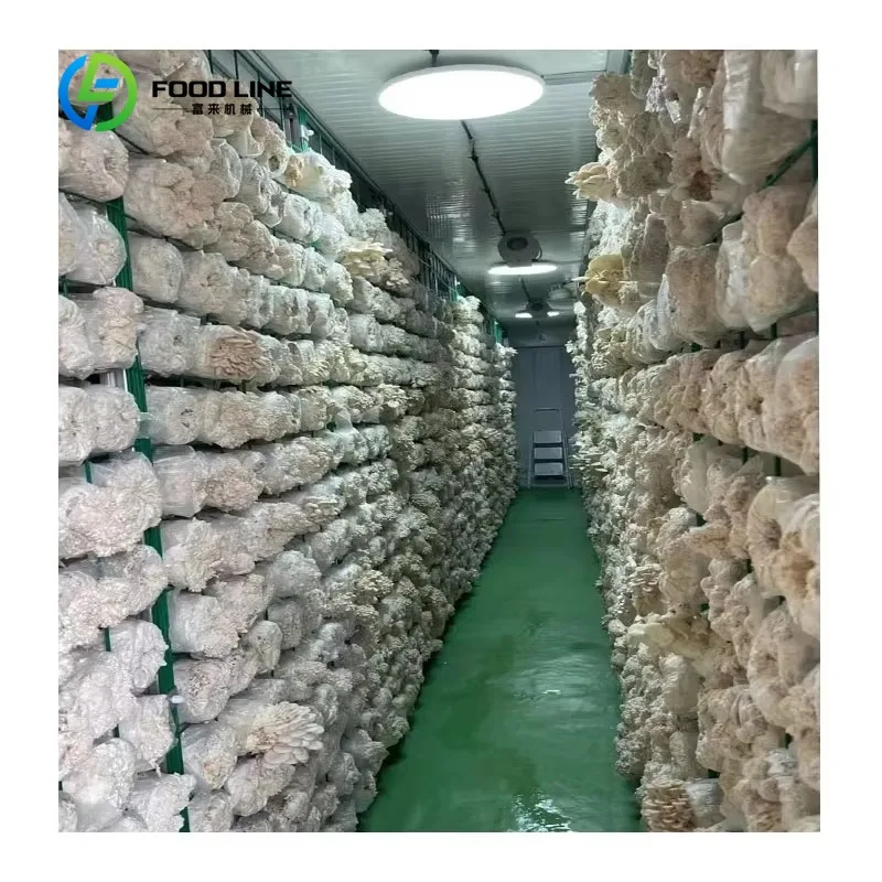 รูปสินค้า ตู้คอนเทนเนอร์เพาะเห็ดขนาด 40 ฟุต 20 ฟุต แบบกำหนดเอง พร้อมอุปกรณ์ปลูกอัจฉริยะอัตโนมัติสำหรับฟาร์มเชิงพาณิชย์