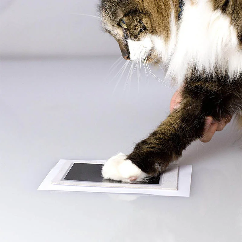 No-Touch Pet Paw Print Ink Pad and Imprint Cards Inkless Non-Toxic Footprint Picture Stamp Keepsake Dog and Cat Accessories