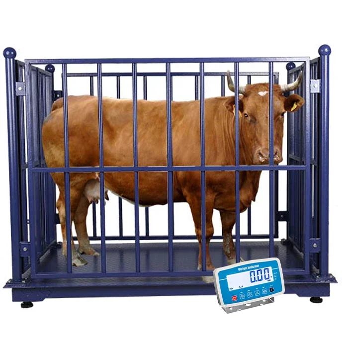 Wholesale-Floor-Scale-Livestock-Weighing-Cattle-Livestock-Weighing ...