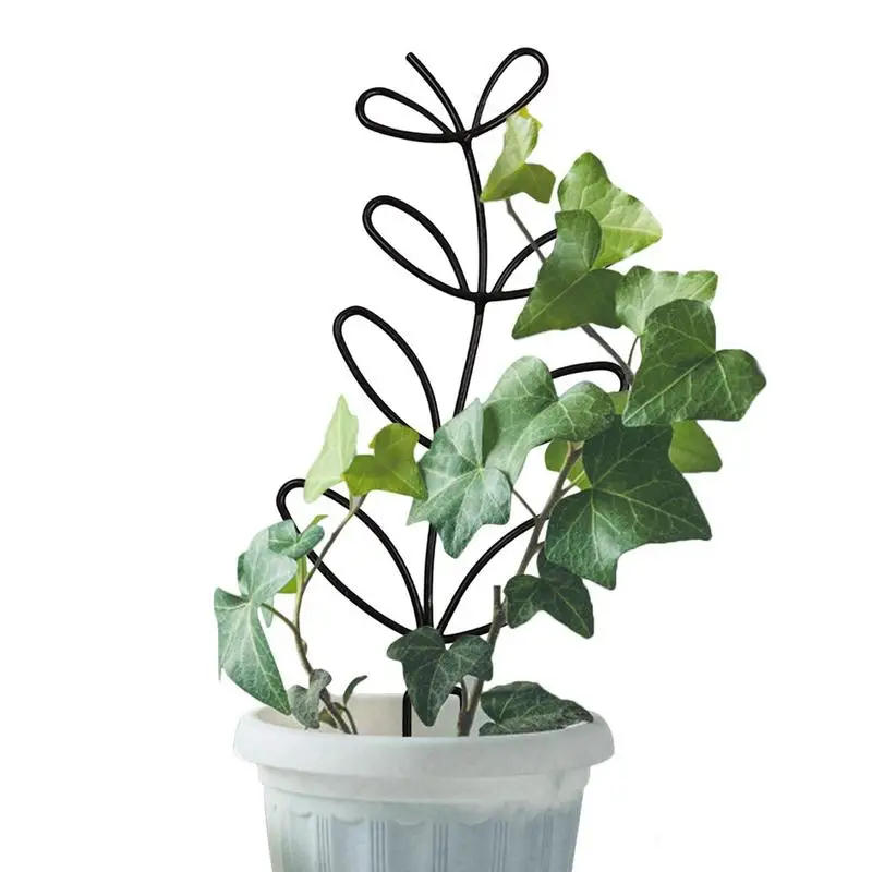 

Metal Plant Climbing Frame Vine Climbing Frame Plant Support Frame Indoor Flower Plant Vine Climbing Bracket