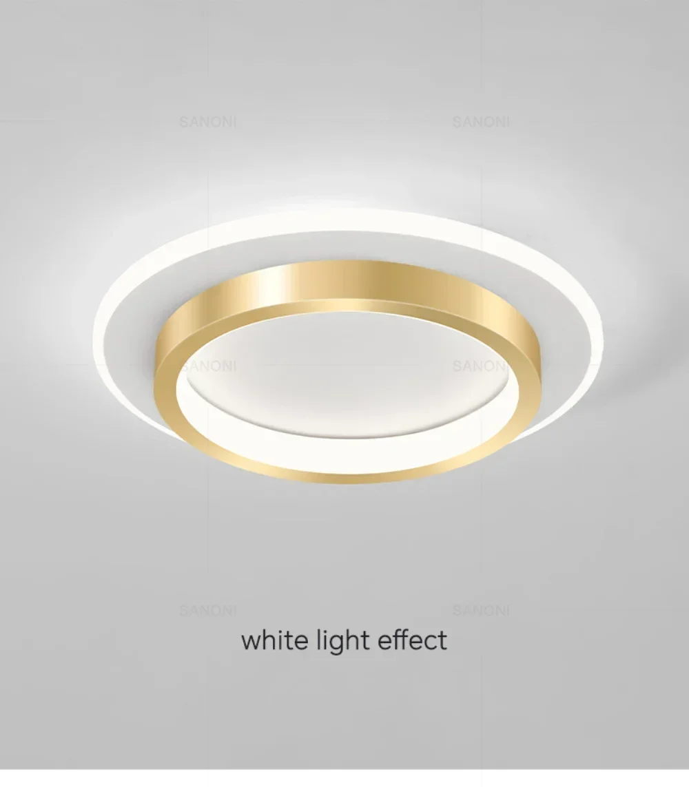 Modern LED Ceiling Light for Corridor Hallway Stairs Aisle Entrance Balcony Small Round Chandelier for Living Dining Bedroom