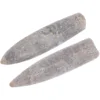 2 Pcs Specimen Natural Belemnite Teaching Supply Home Decor Epifaunal Educational Adornment Models Toys 3