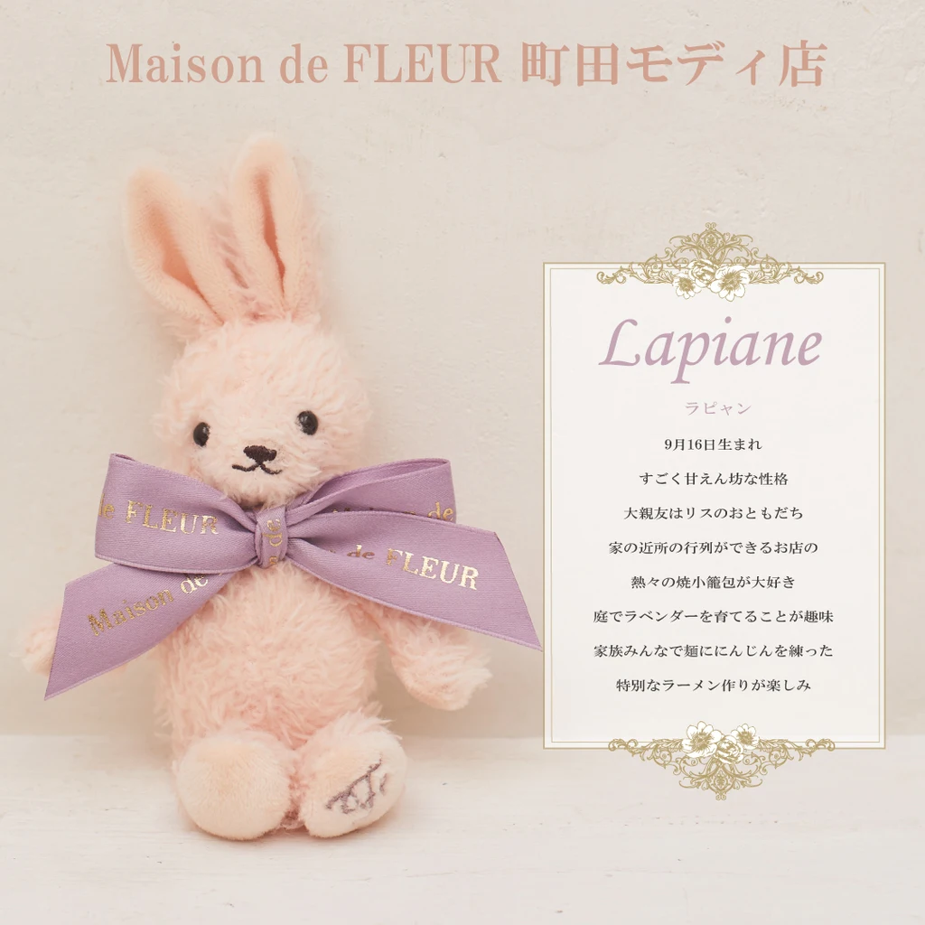 Japanese Fashion Cute Doll Keyring 30 Colors New Birthday Rabbit Plush Hang Decorations Handbag Pendant Ladies Doll Bag Charms