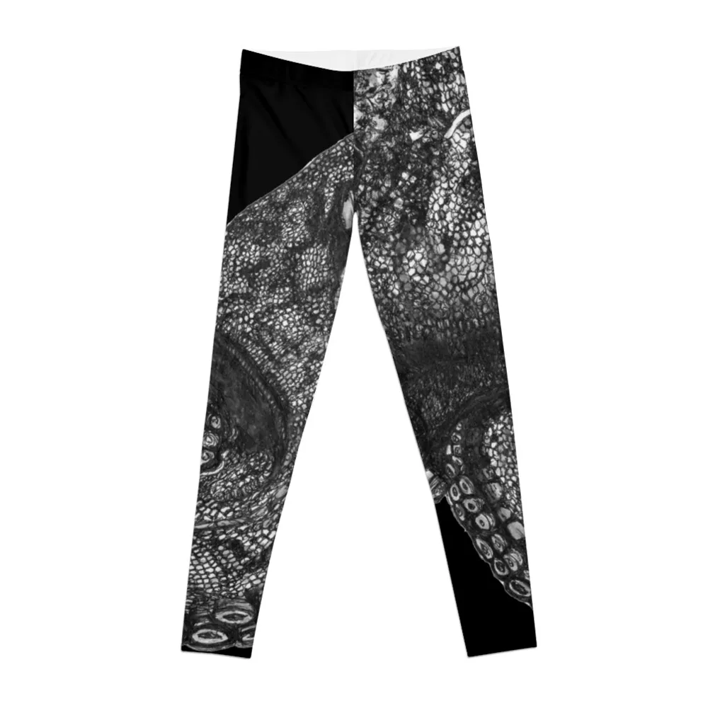 

Paul the Octopus Leggings gym leggings gym wear Women