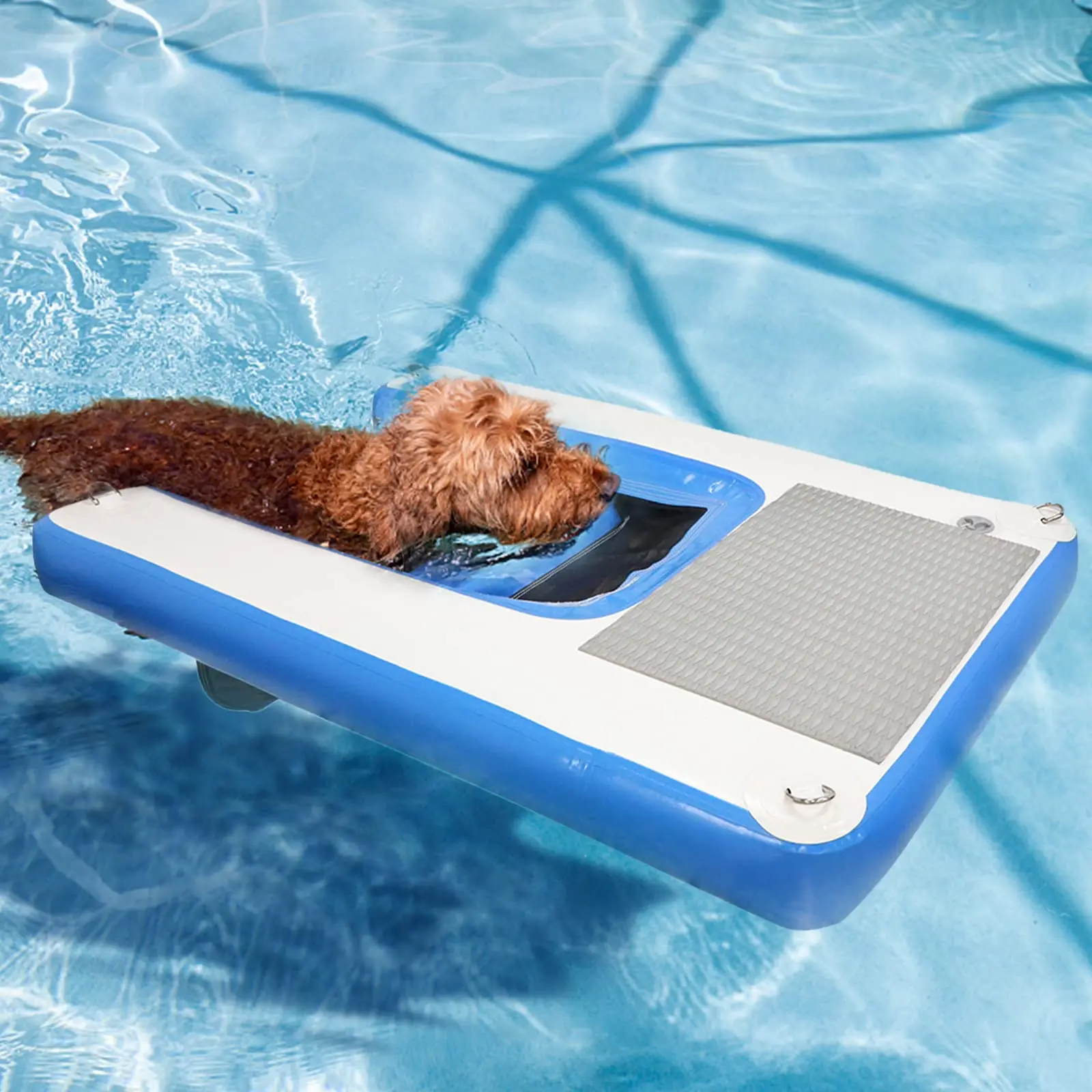 Rampe Gonflable Pour Chien - Accès Piscine, Lac - PVC Résistant - Charge 105 Kg - Pliable, Transport Facile