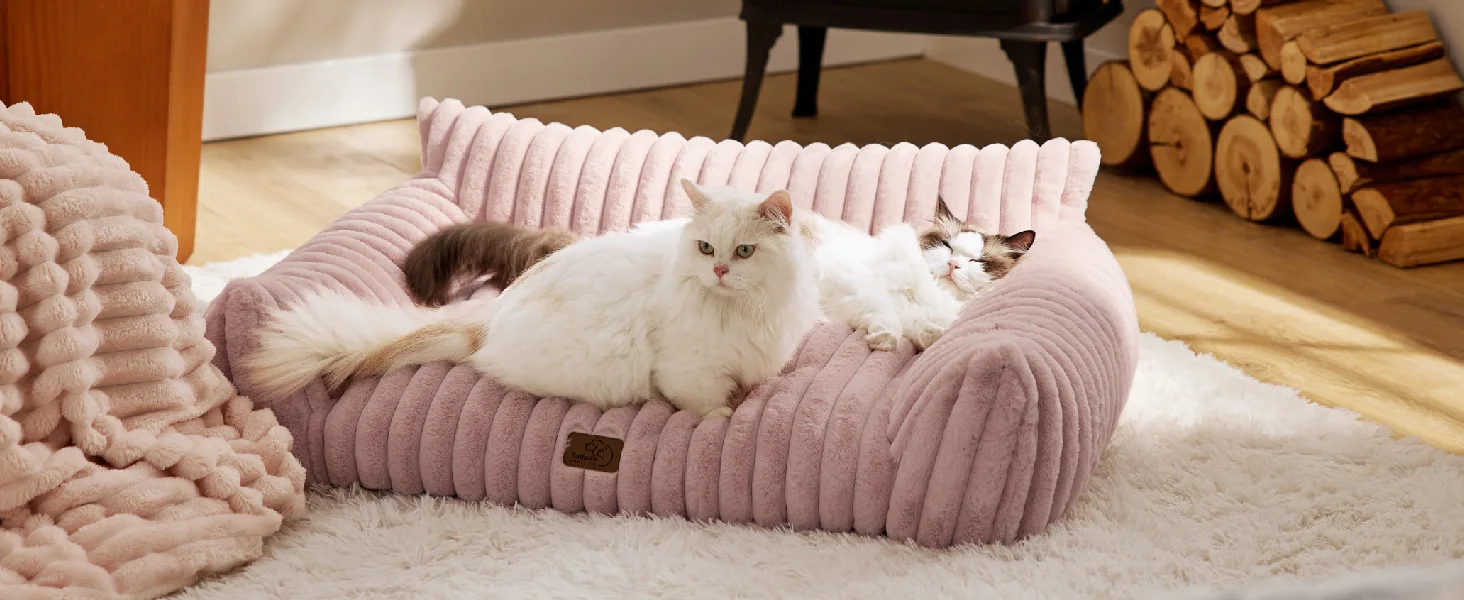 dog bed5