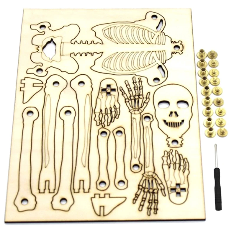 

1 Set Montessori Block Learning Resource Skeleton Structure Puzzle Jigsaw Kids Sensory Human Model Science Toy Joint Moveable