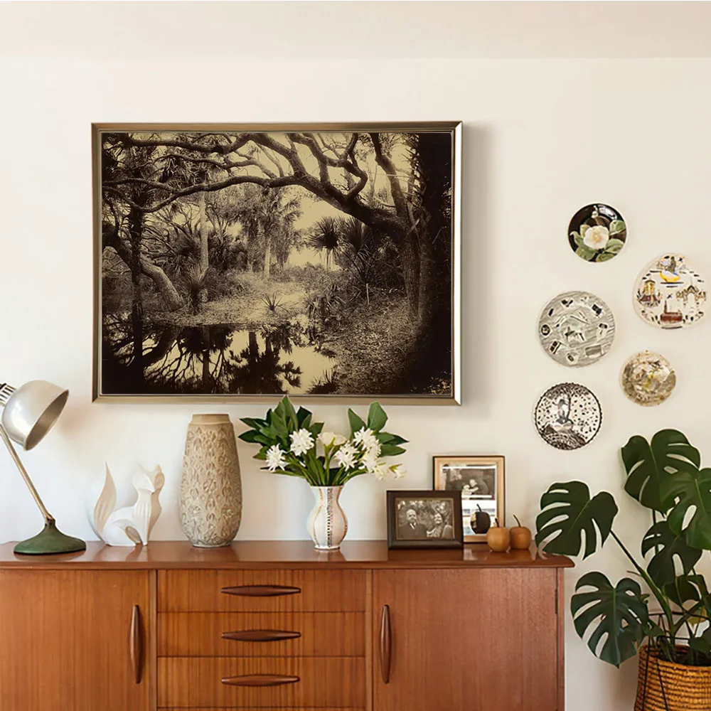 

George Barker Vintage Photo Art Print Poster Live Oaks And Palmetto Everglades Florida Canvas Painting Home Decor Wall Picture
