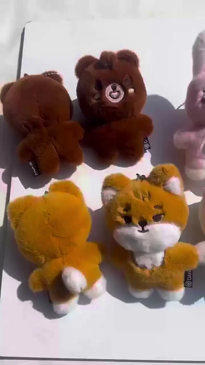 Kpop DAY6 Doll Keychain 10CM Cartoon Cute Soft Short Plush