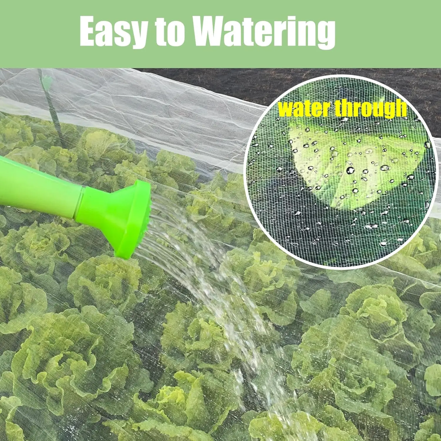 Slide image 5c08ae3ce0d84ea8bbc0c7190a0a03cc