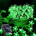 Cherry green