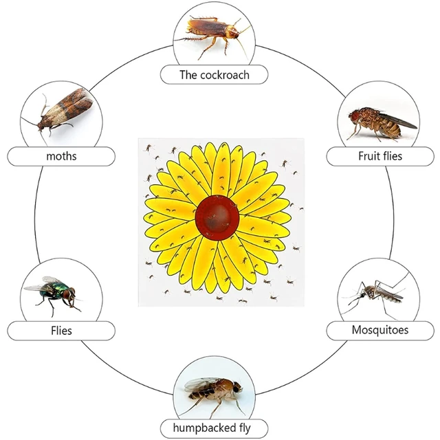 Window Fly Traps Indoor, Sunflower Fly Catcher Window Fly Sticker