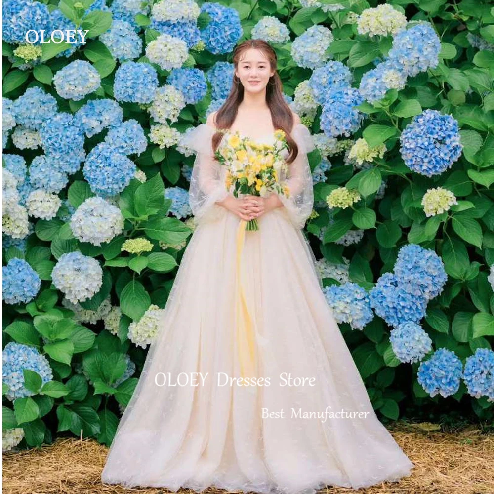 

OLOEY Simple Tulle A Line Wedding Dresses Korea Photoshoot Puff Long Sleeves Sweetheart Elegant Bridal Gowns Garden