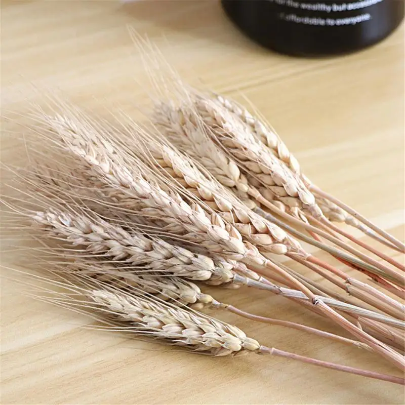 Dried Flowers with Stems Artificial Golden Wheat Bouquet 100pcs Natural  Flowers for Fall DIY Arrangement Decorative Farmhouse - AliExpress