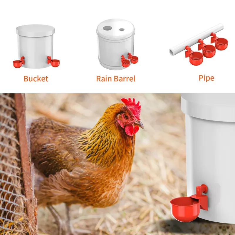 Chicken Water Feeder Automatic Filling Waterer Poultry Drinking Bowl For Chick Ducks Birds Turkeys Etc 12pcs Large Cups poultry drinking cups poultry water dispenser poultry feeder animal drinking bowl poultry waterer