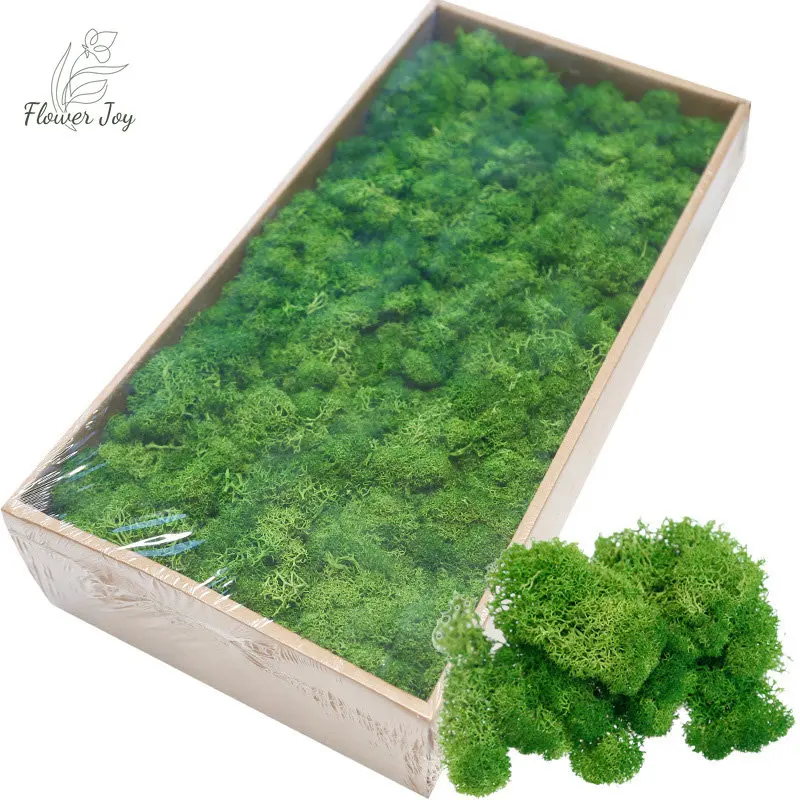 50/100g Moss for Potted Plants Artificial Moss for Fake Plants Faux Moss  for Planters Decorative Moss for Craft and Home Decor - AliExpress