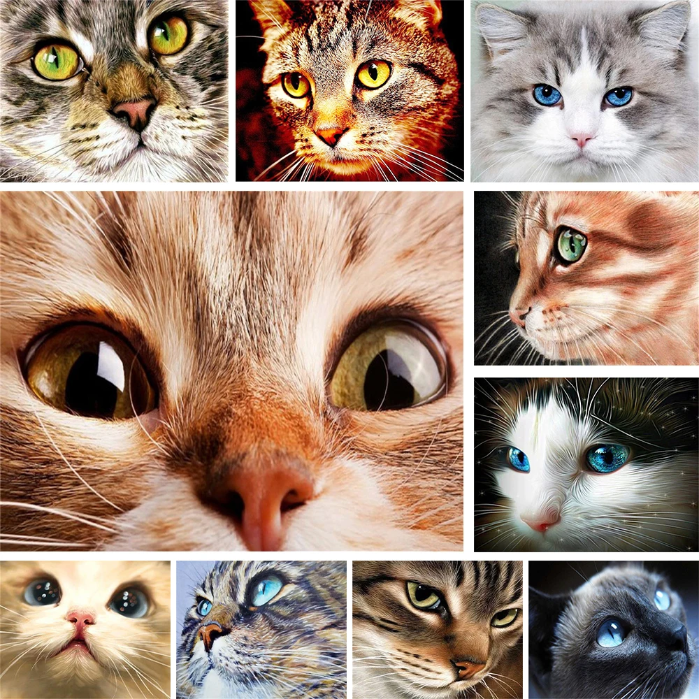 Animal Cute Cat Printed Canvas Cross Stitch DIY Embroidery Set Needlework Sewing Handiwork Knitting Wholesale Room Decor Package