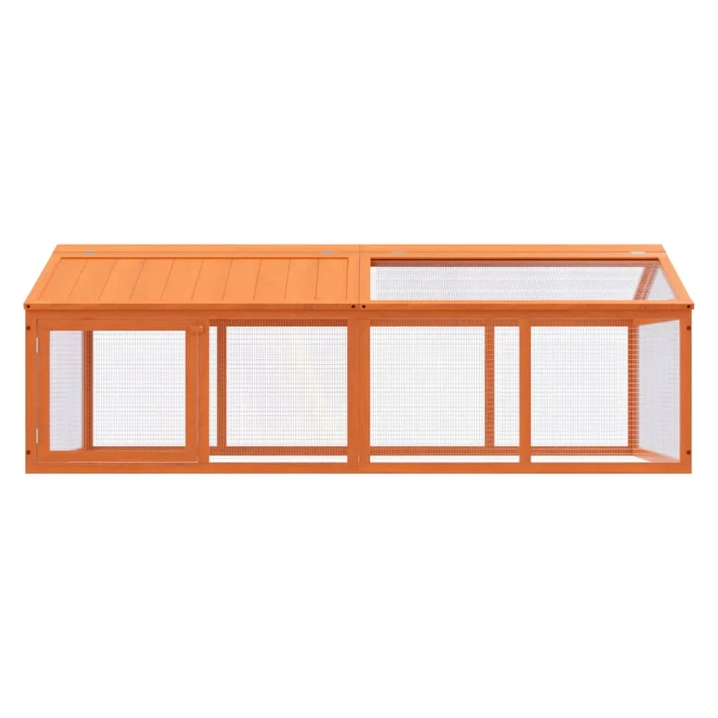 Lapins heureux en extérieur