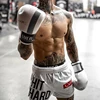 Men's Muscle Fitness Sports Shorts Quick Drying Breathable Short Pants Summer Running Training Male Workout Boxing Casual Shorts 3