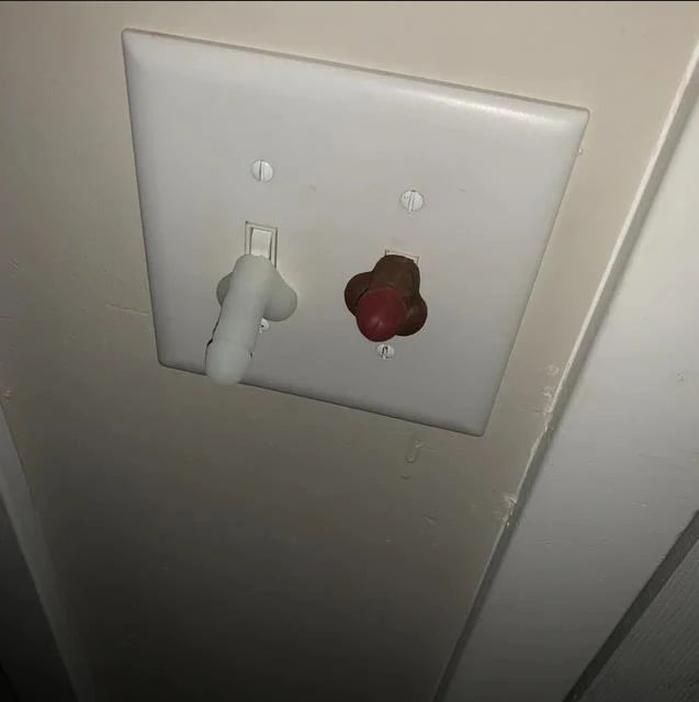 Funny Light Switches