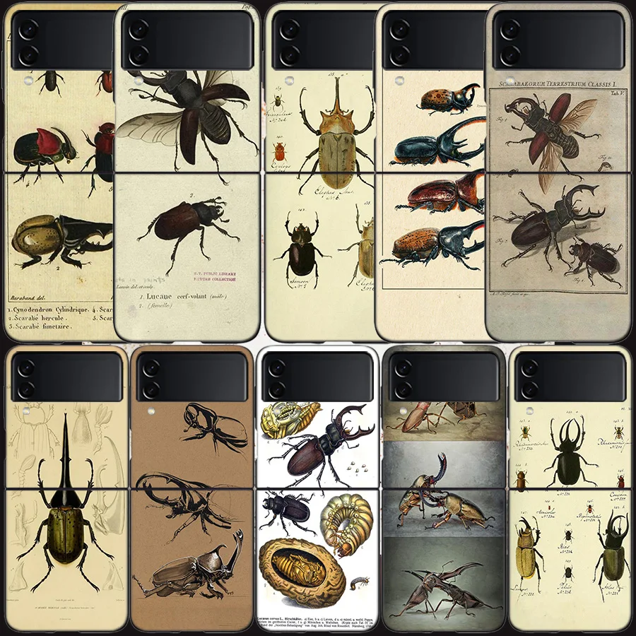 Bugs Bees Custodia Di Decomposizione Scientifica Per Samsung Galaxy Z Flip 3 Flip 5 4 5G Cover Rigida Nera Per Cellulare Samsung Z Flip 5 5G