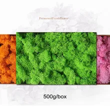 

500G Artificial Plant Immortal Moss Wall Decoration Garden Home Decoration DIY Flower Material Garden Micro Landscape Accessorie