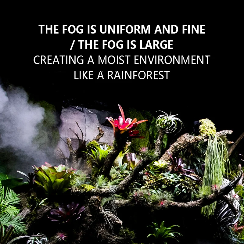 2L Reptile Humidifier Mist Rainforest Fogger Lizard Turtle Terrarium Automatic Humidifier Intelligent Spray System Kit