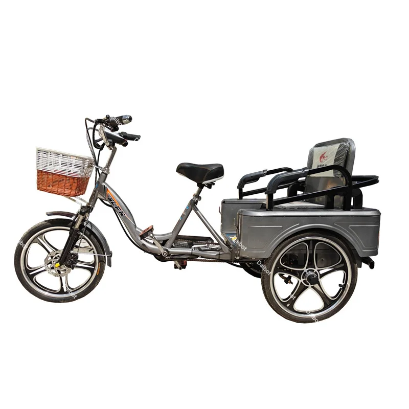 350W 48V nouveau Tricycle électrique à 3 roues vélo Cargo avec passagers pour personnes âgées famille Booster électrique vélo batterie amovible