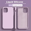Grass Purple