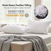 Luxury White Cushion Core Natural Goose Feather & Down Filling Soft Head Pillow Inner Customized Size Hotel Home Decor Pillows 2