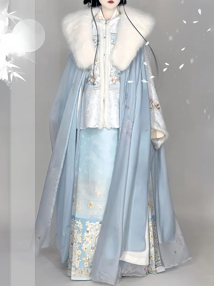 

Winter Ming Dynasty Gown Embroidery Tang Suit Makeup Flower Horse Face Skirt Blue Cape Traditional Chinese New Year Hanfu Robe