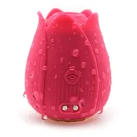 10-Vibrations-Saugvibrator, Punktstimulator, stimulierendes Saugen, Klitoris-Massagegerät, wiederaufladbares Sexspielzeug für Erwachsene für Frauen, Paare 2