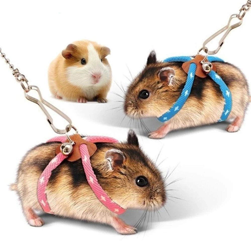 Bird Training Rope Pet Traction Rope for Bird Parrot Mouse Hamster