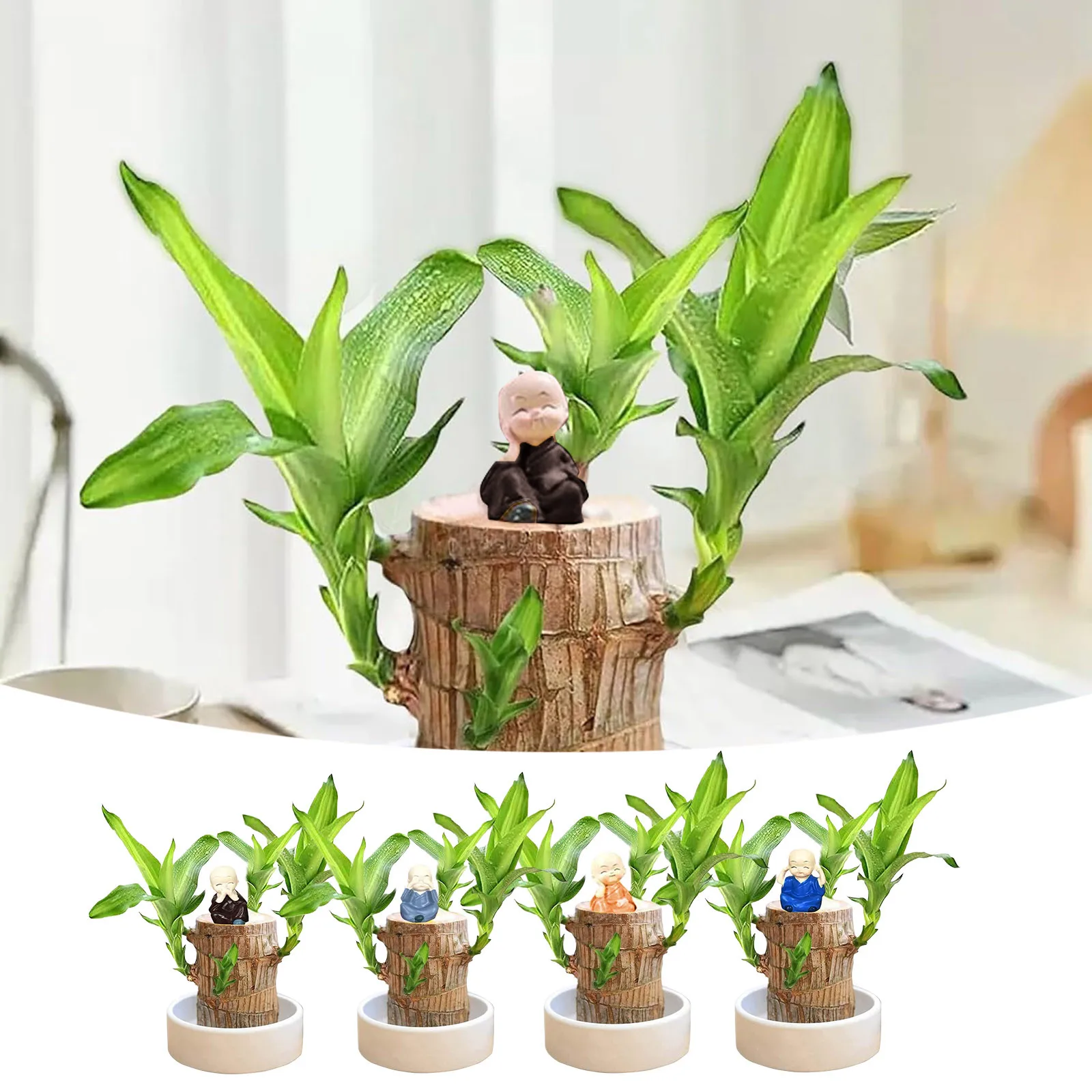 Brazilian Wood Easy Grow Easy Care Hydroponic Tree Housewarming Desktop Ornament