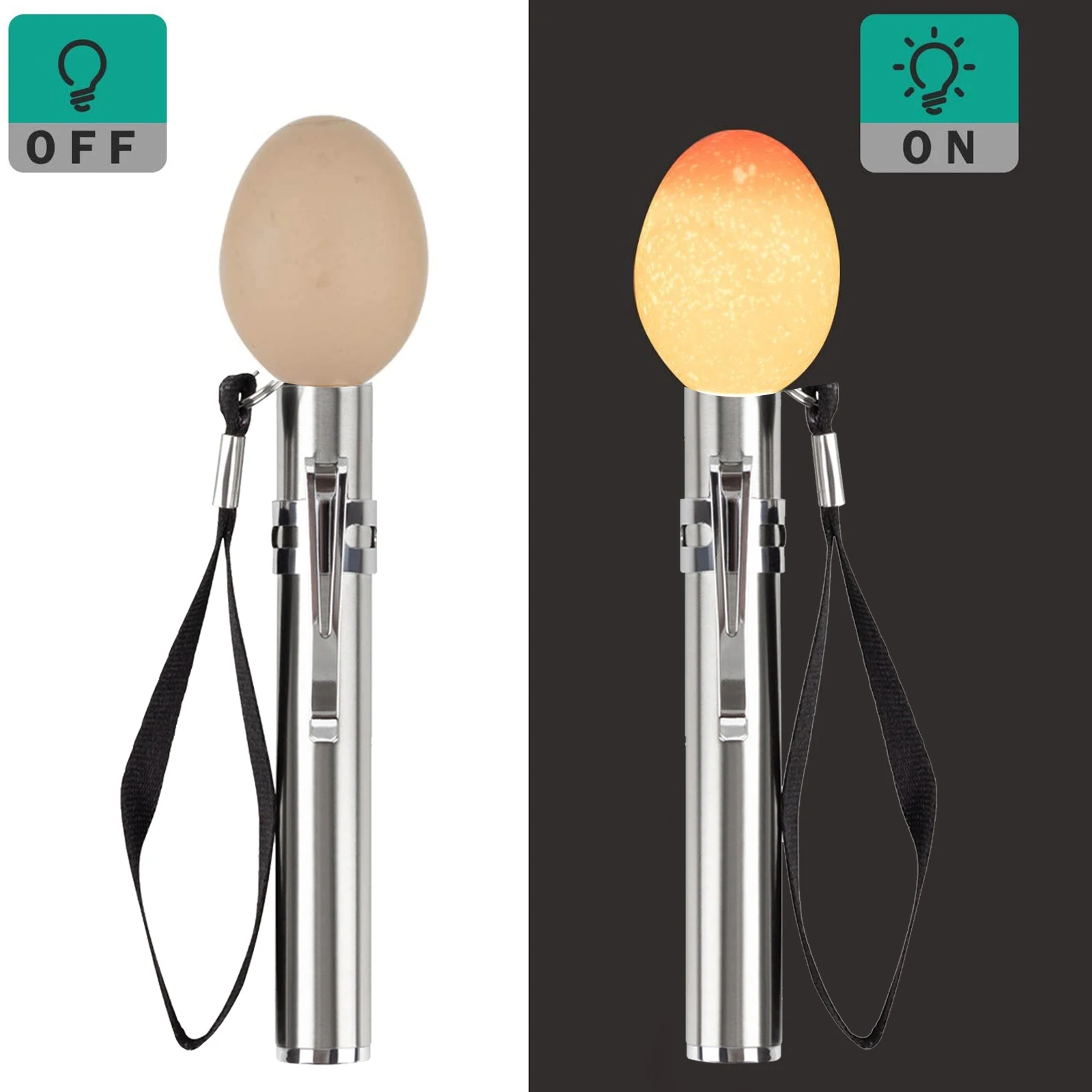 Flexzion Egg Candler Tester, Bright Cool LED Light Candling Lamp for All  Chicken Dark Quail Duck Canary Eggs, Portable Flashlight Incubator  w/Charger