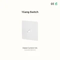1Gang switch
