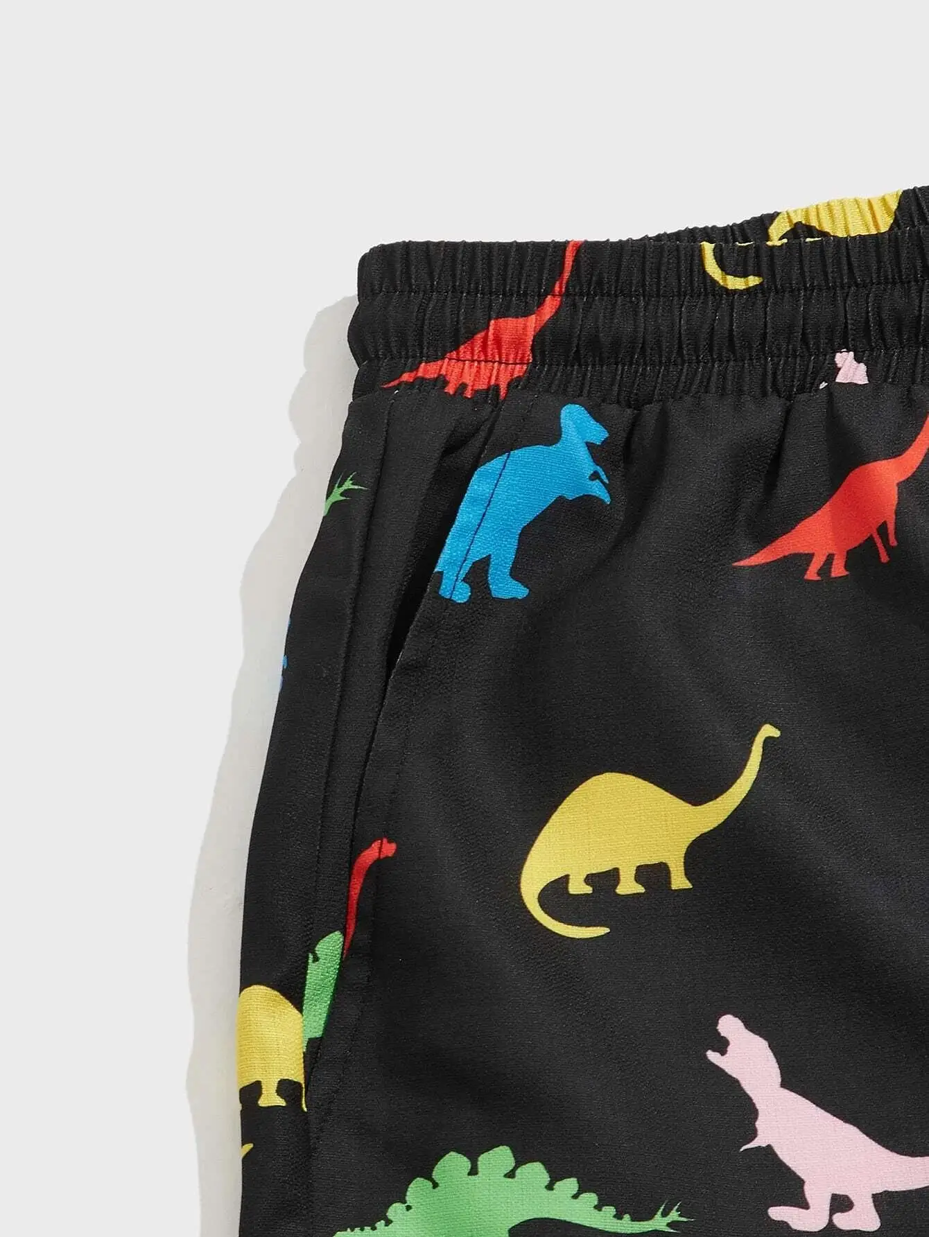 Men's beach shorts Dinosaur pattern 3D Printed  Board Summer Swim Trunks Elastic Waist Drawstring Hawaiian Style 3