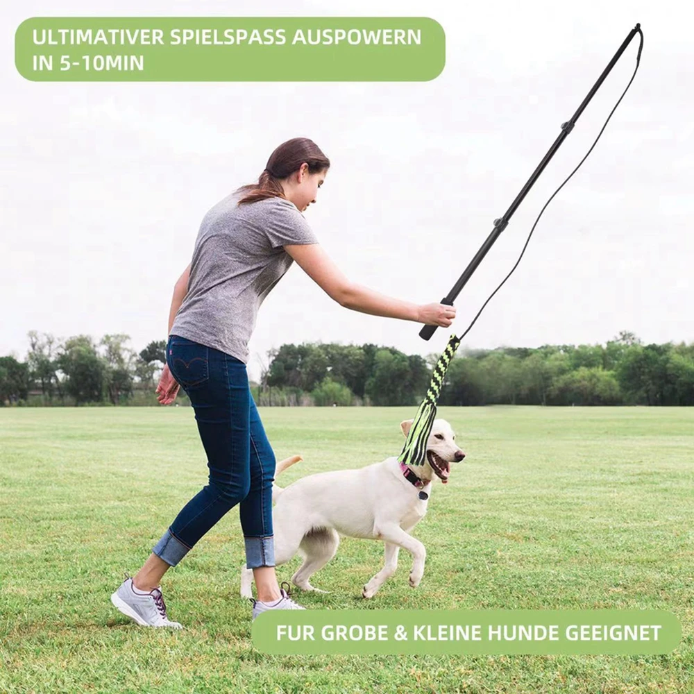 Flirt Pole, Dog Chase Exercise Toy from Squishy Face Studio – Pet Expertise