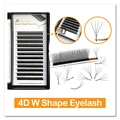 4D W lashes