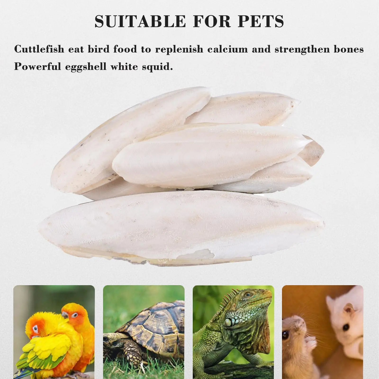 Fishbone Cuttlefish Bone Squid Cuttlefish Birds Eat Stone Calcium E1L8