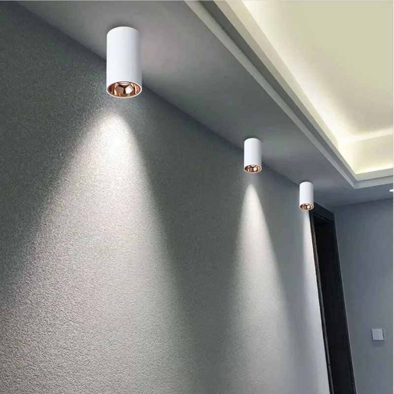 5W 10W 15W 20W 30W Cylinder Livingroom Kitchen Bedroom Foyer Offcer Rose Gold Dimmable LED Ceiling lights