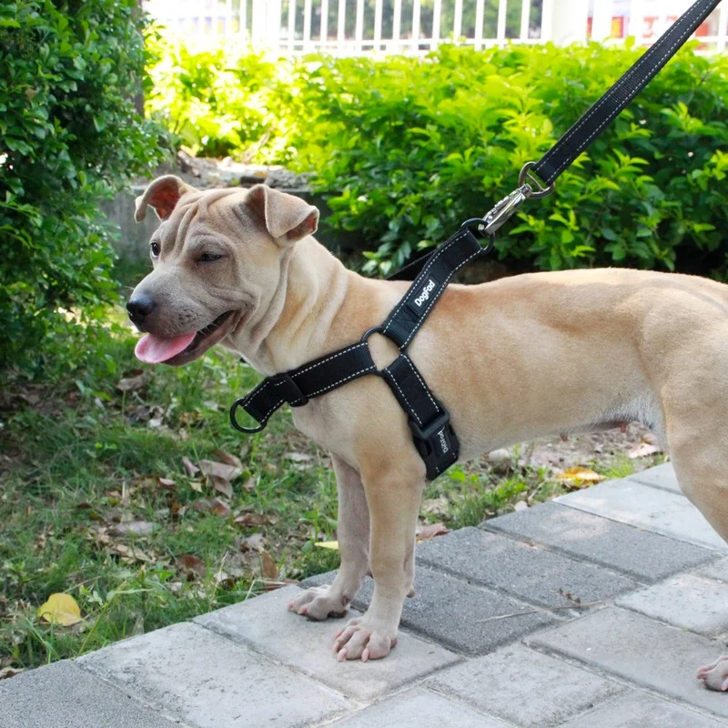 Adjustable Nylon Dog Walking Harness 5