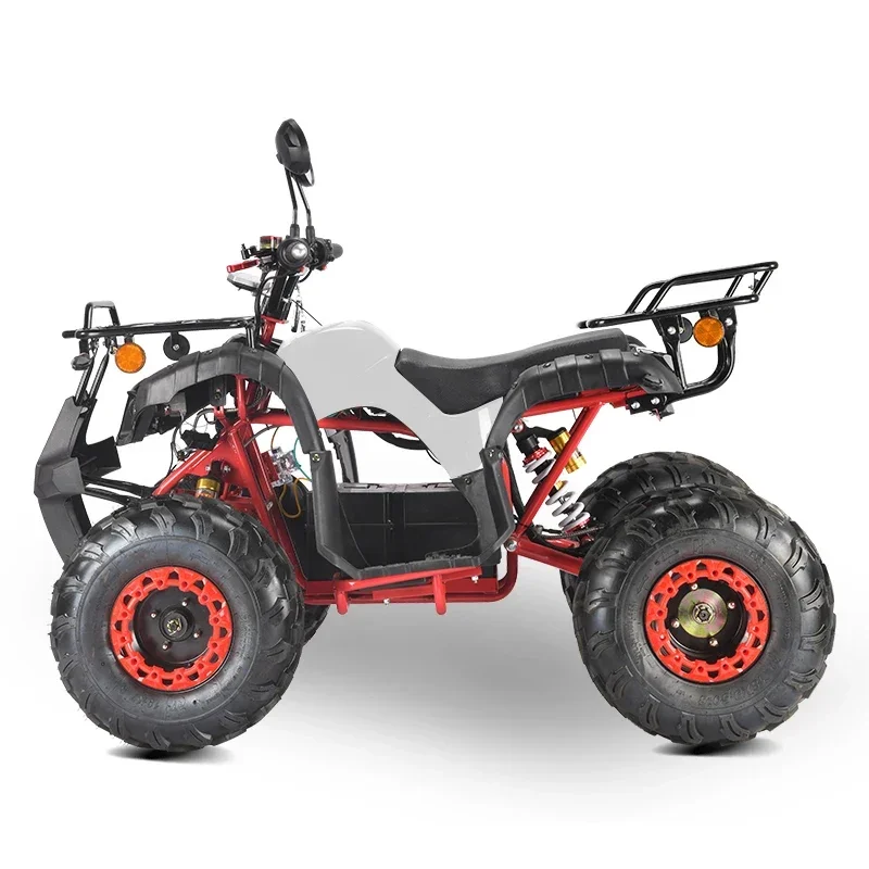 Tao Motor Electric ATV Automatic 4-Wheeler With Chain Drive 2WD Quad Bike For Off-Road Vehicle For Starters