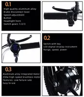 Vélo électrique pliant pour adultes, tricycle électrique à trois roues, siège passager, grand panier, 14 pouces, 48V, 350W 4