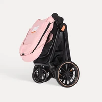 Poussette Bébé Pliable 2-en-1 avec Système de Voyage, Châssis en Aluminium Haute Qualité, Poussette Pliante pour Nouveau-né et Nourrisson 0-4 Ans 6